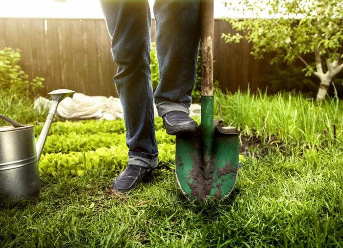 Как правильно выбрать лопату для дачи: деревянная или алюминиевая?