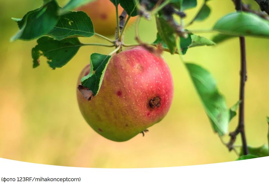 ��� �������� �������� ������� �� ������� ����������