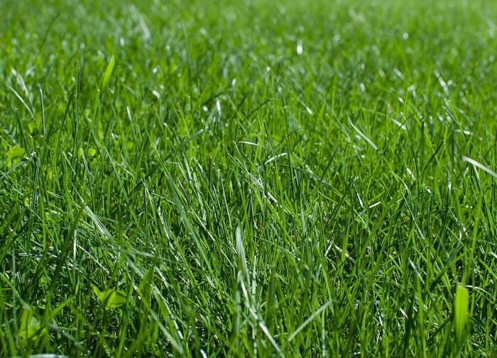 ��� ���������� ������� �� ��������: ����������� ������