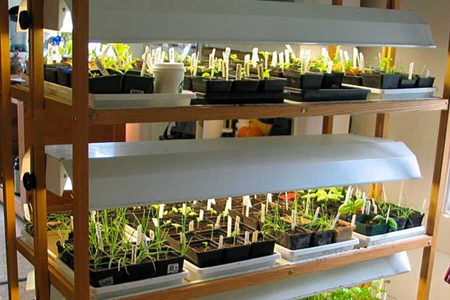 ��� ������� � ������: ���-10 �������� ��� ������ �������