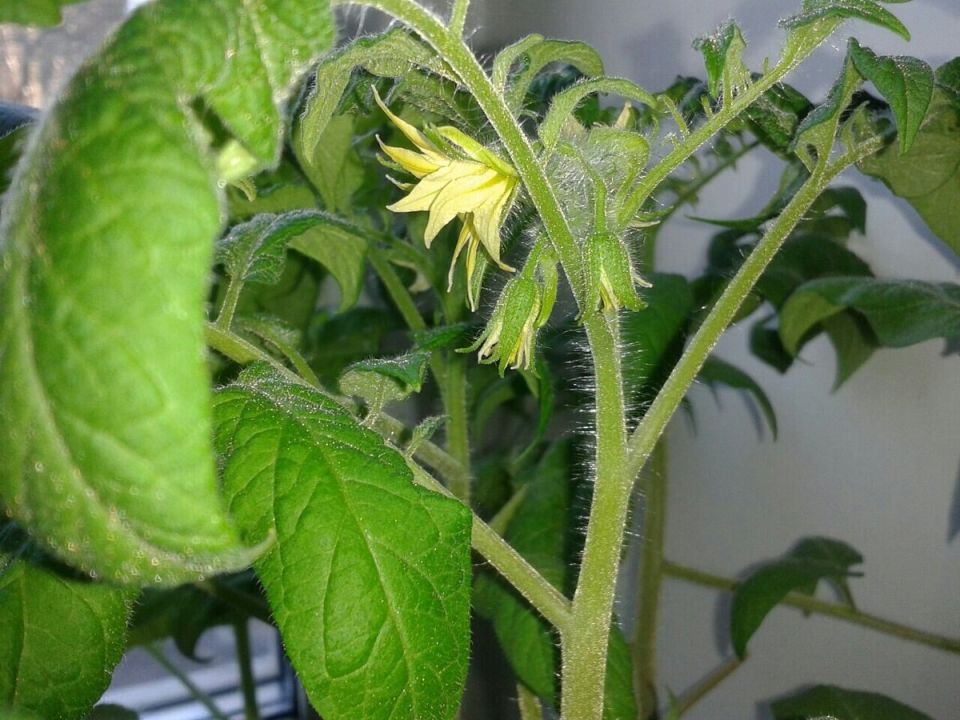 ������ ����� ������� � ������ ��������� ������ ��� �������� ������