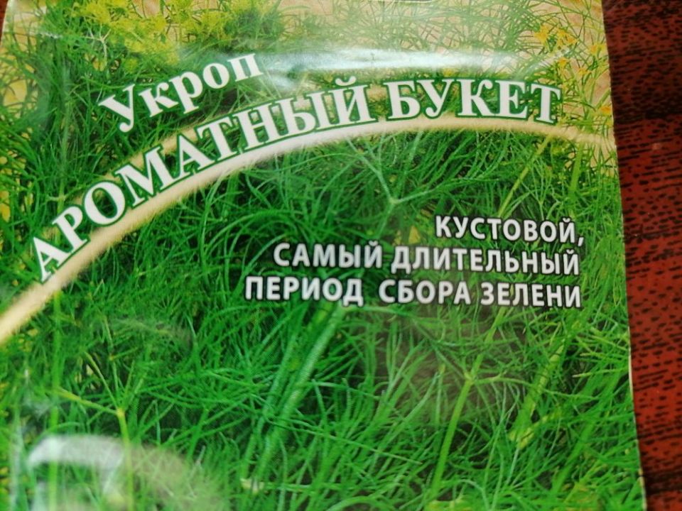 �����: ��� ������� ������ ���� � ��������� ��� ���������