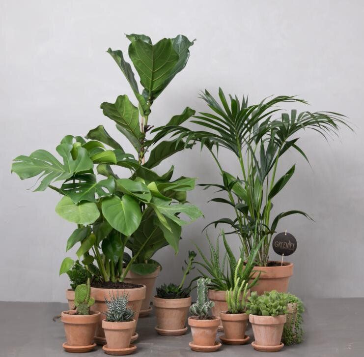 ������������� ��������� �������� ��� ������ ����