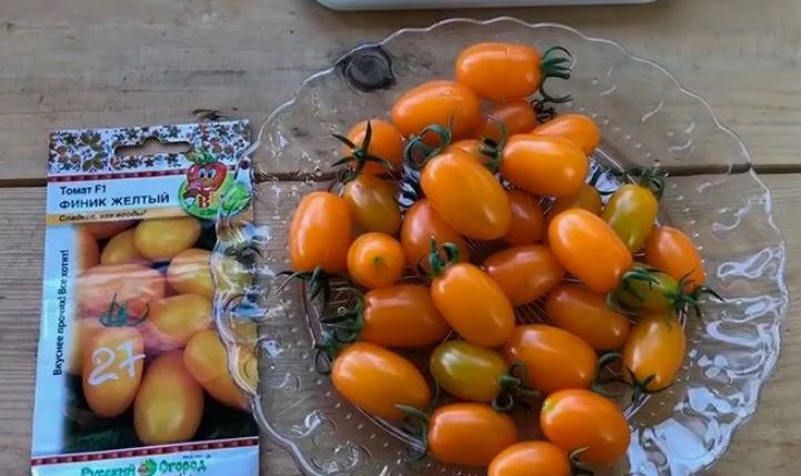 ��� ������� ������ ��� ������� � ������� ������� ������ � ������