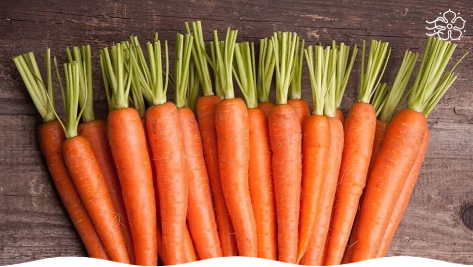 ������ ������� ������� F1 ������ ����� ����� ������� ���������