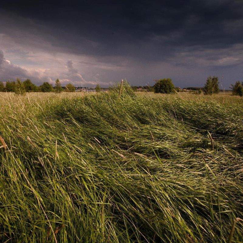 ��� �������������� ���������� ���� �� ����: ������ � ������������