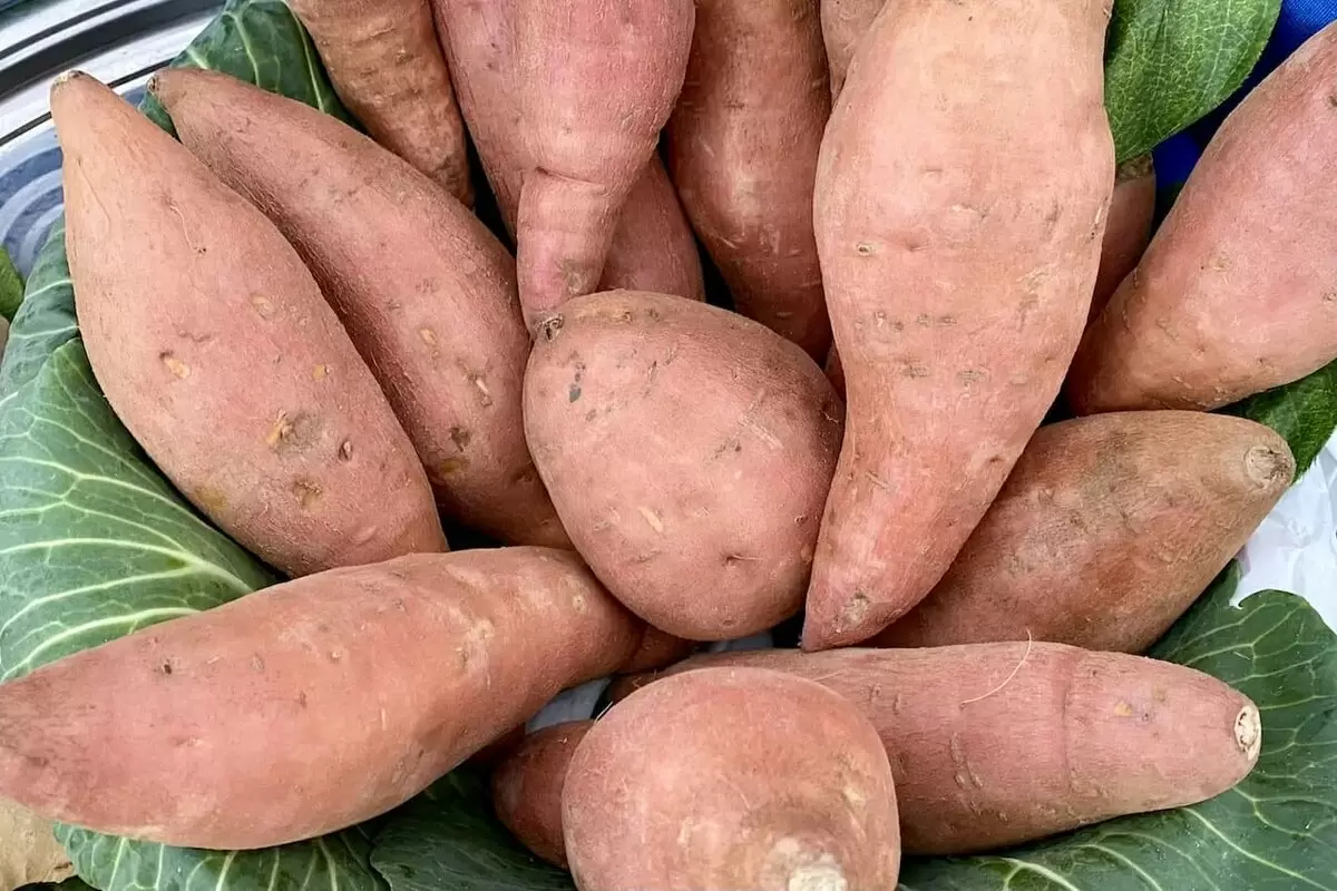 Зимний набор корнеплодов, которые реально упрощают рацион