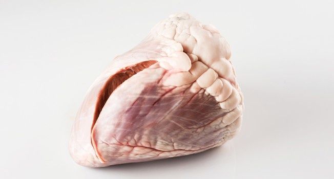 ������ ������: ������� ������������� ������������ � ���������� ������