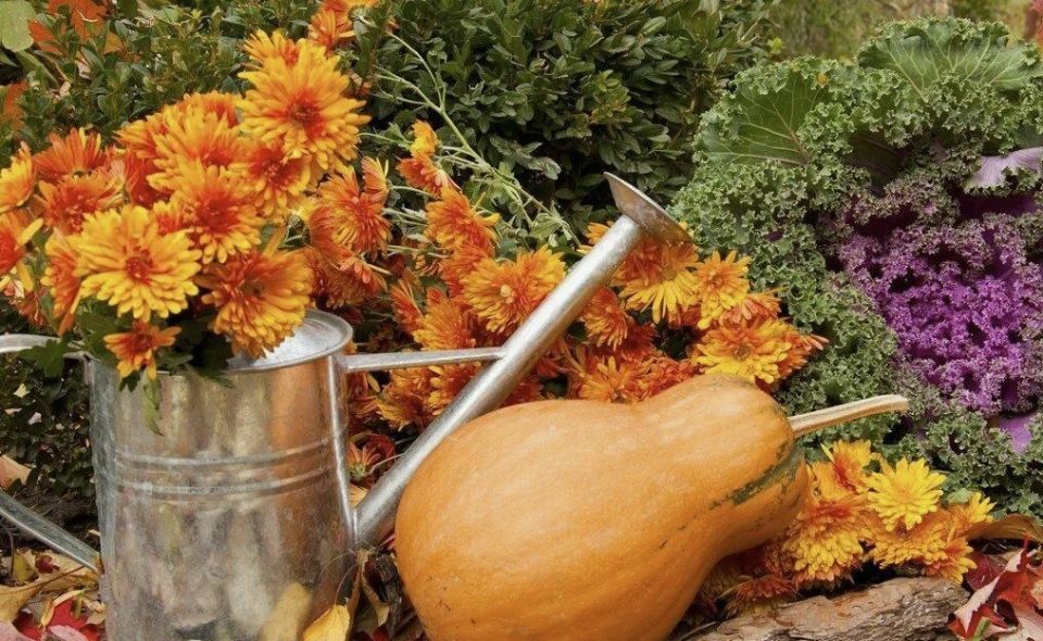 ������� �������: 10 ������ ��� � ���� � ��������