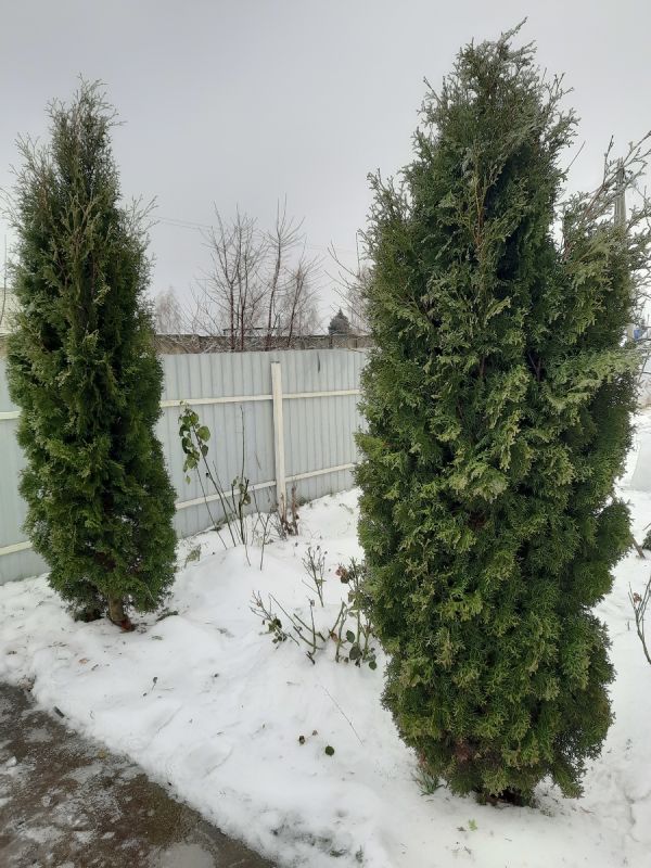 ��� ��������� ��� �� �����: ������� ����� ��� ���������� ���������