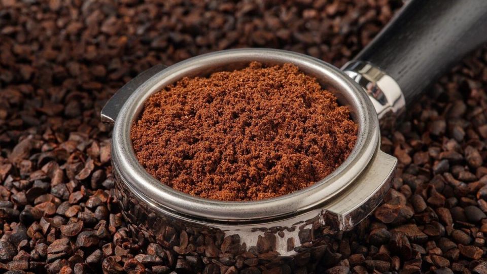 ���� �� ��������: ������� ��� ����� ��� ����� �����?