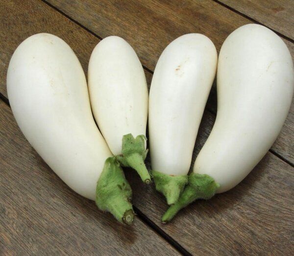 ����� ������ ������ ����� ���������� � ������������ ����� �� ������