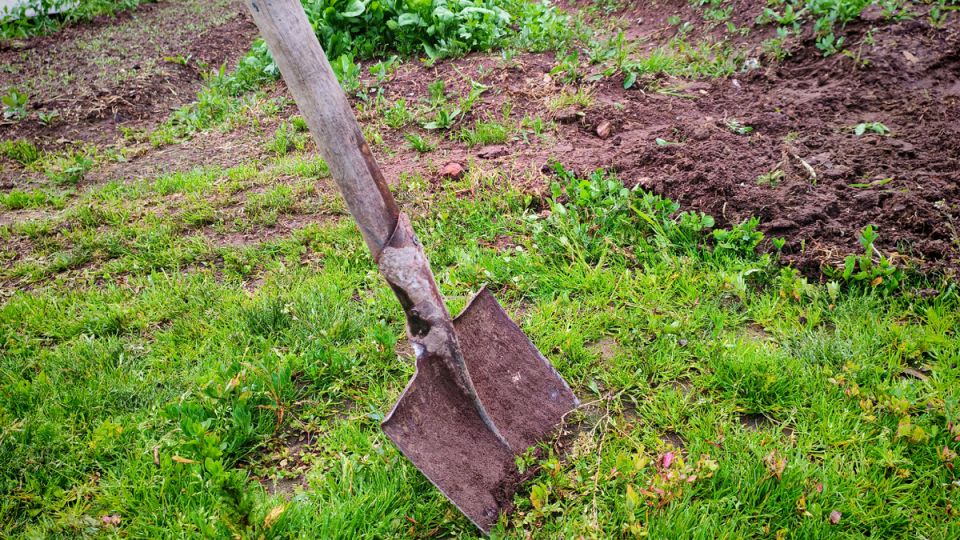 ������� ��������� ������: ����������� ����� �� ��� ������� ����