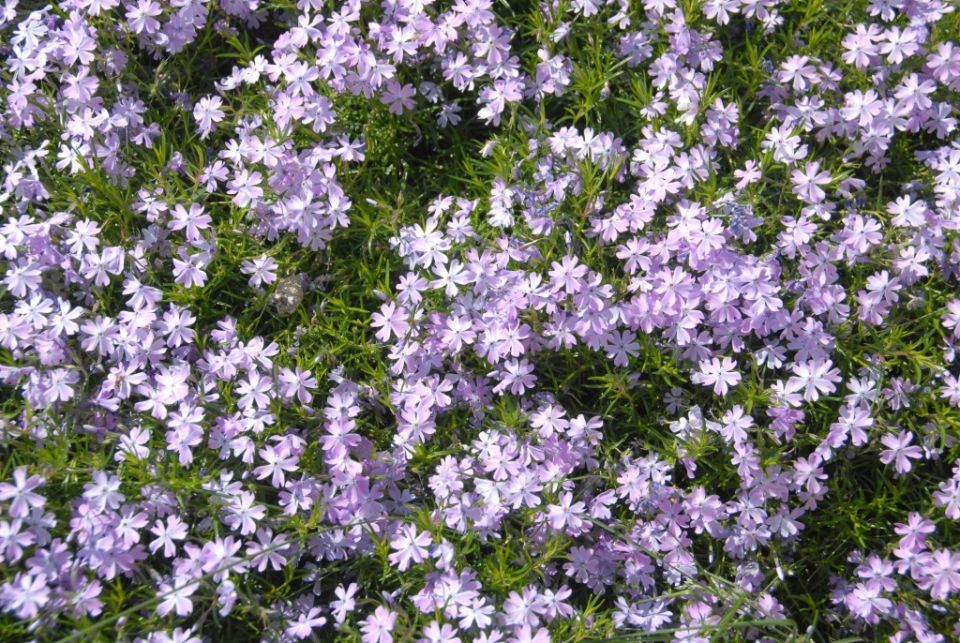 ����� ����������: ��� ������� ��������� ����� � ����� ����