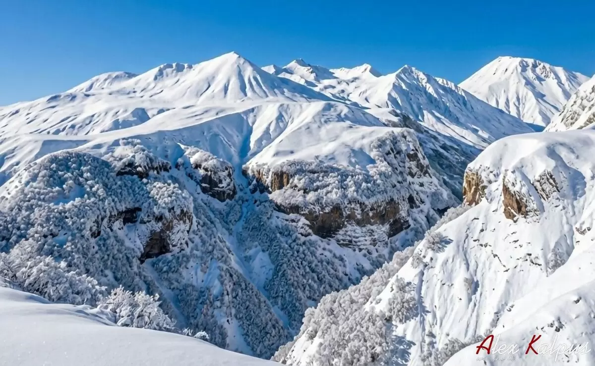 Как поддержка подписчиков помогла в покупке профессионального объектива