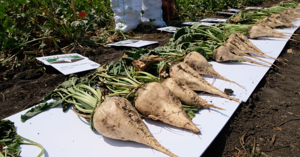 ���������� ���������: ������ ������ � ������ �������� � ��������� �����