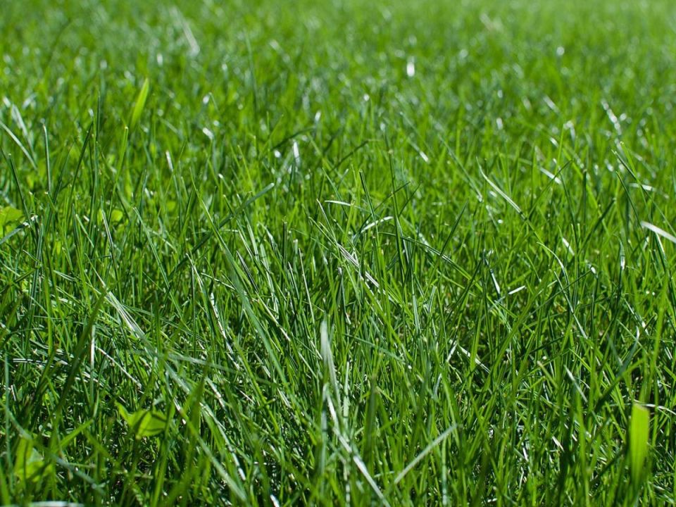 ������� �������� ������: ��� ��������� ���� ����� � ��������� ����