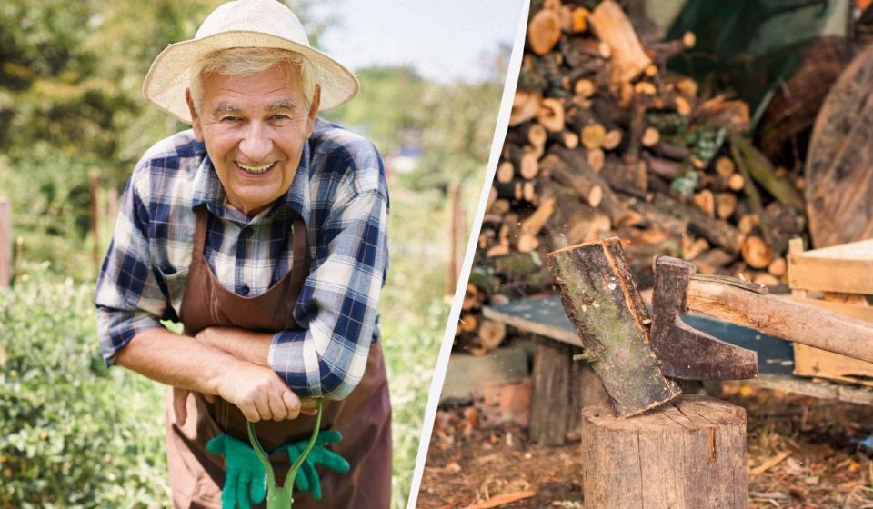 ��� ����������� ������������ ����� ����� ������� ��������: ������ ������� ��������