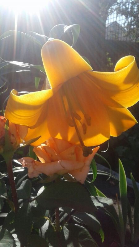 ����� ��������� ��� ��������: ����� �� �������