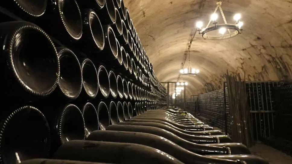 Выдержанные инвестиции: как рождается рынок винтажных вин в России