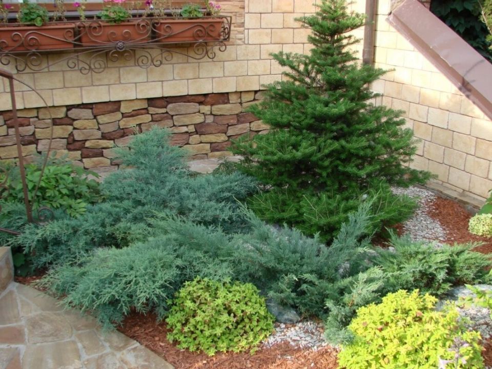 ��� �������� ��� �������� � ������������� ����������: ����� ���� ��� ������ �������