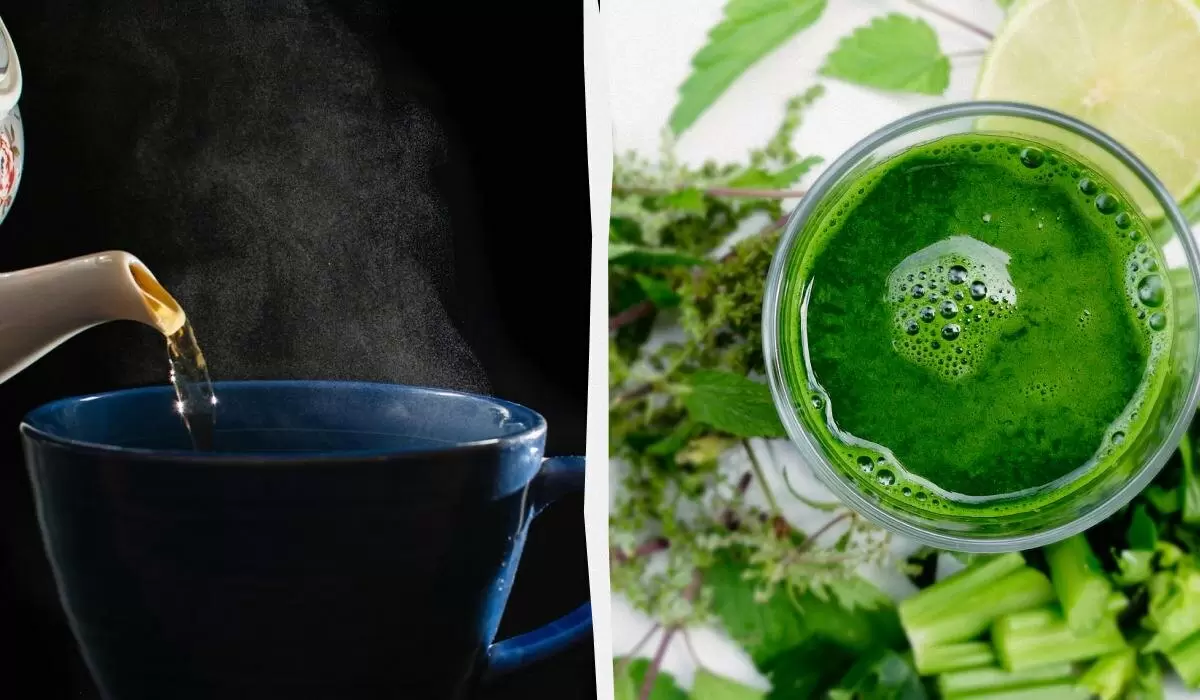 Давайте сделаем мозг счастливыми: 10 напитков, которые улучшат ваше самочувствие