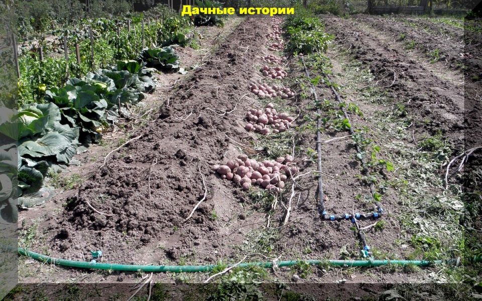 ��� ��������� ������ ���������: ������ ��� ��������� ������