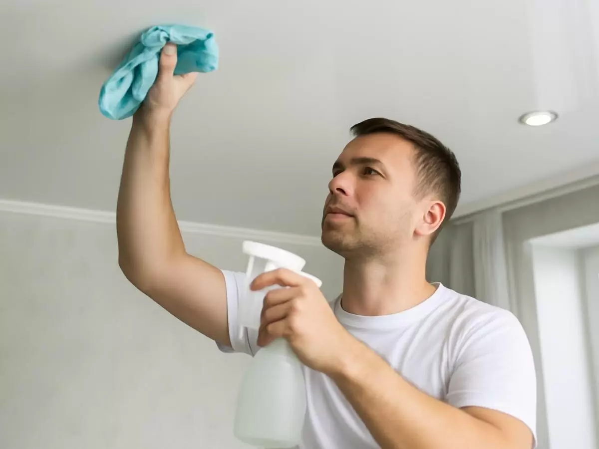 Очарование натяжных потолков и их уход