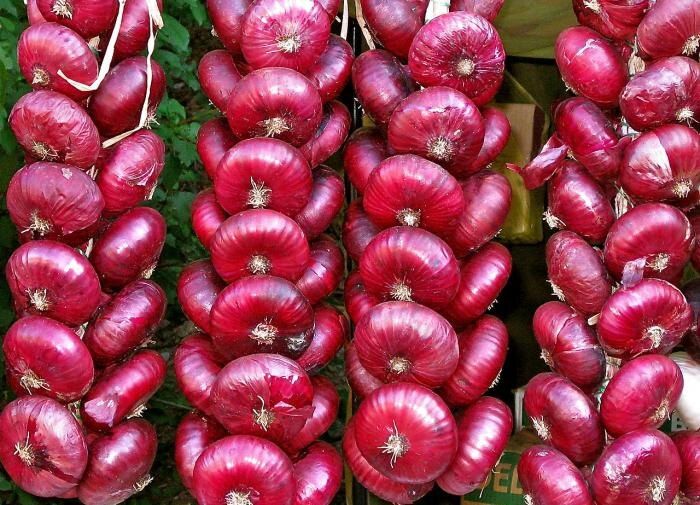 ����� �������� ������ ����: ������ ��� ��������� �����