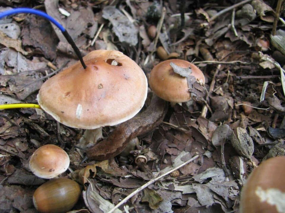 ����� ������� ����� ���� ����� ������������� �������