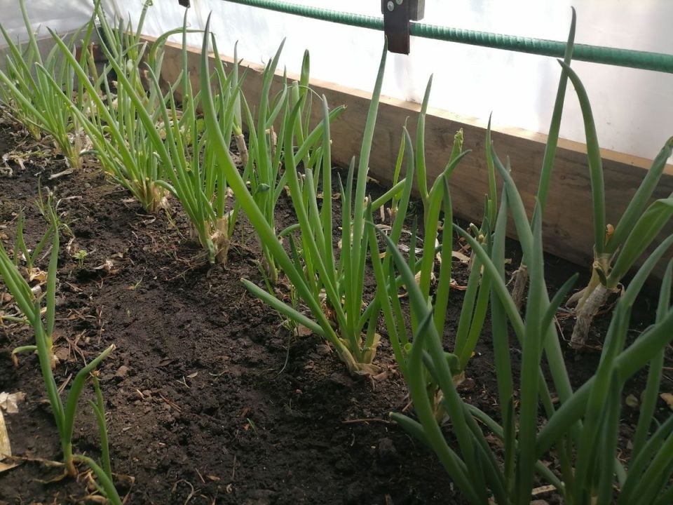 ����� � �������: ��� �������� ������ � ������� �������� ������