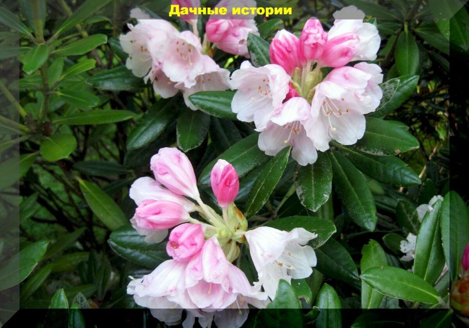 ������������ ��� ������� ������: ������ ����� � ������� �����