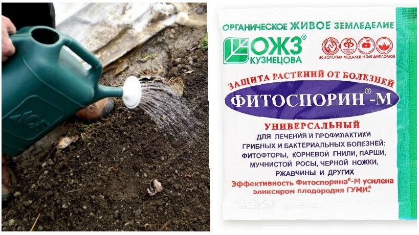 ��������� ����� ������: ��� '����������' �������� ��������� �������� ��������