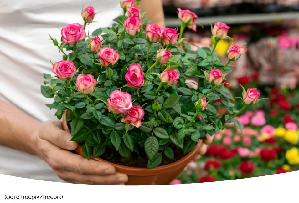 ��� ��������� ������� ��� � ������� �����: ������� ����� ��� �������� �����