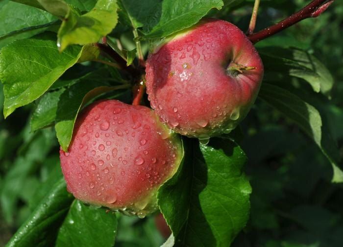 ������ �� ������: �� ��������� ������ �� ����� ������ �� �����