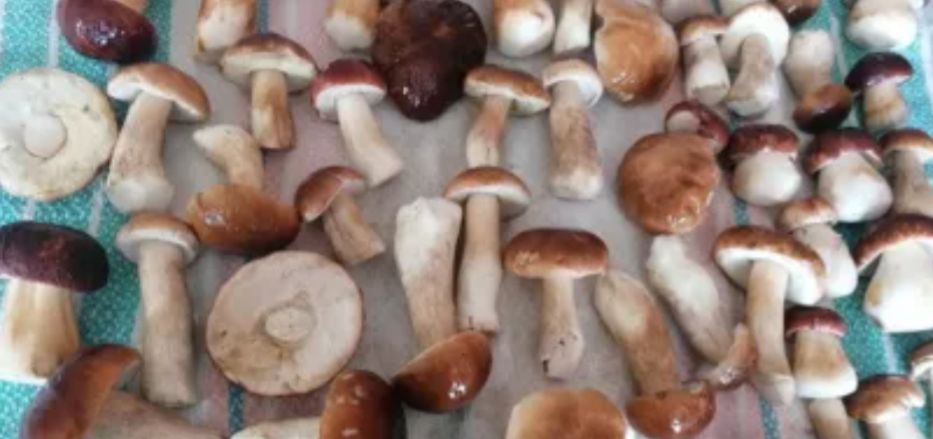 ��� ��������� �������� �����: ������, ������� ������� ���� ����� ���������� � �������