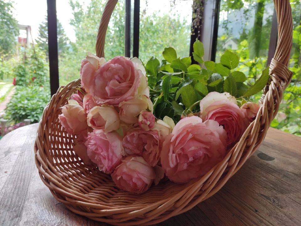 �������� �����: ��� ���� ��������� ������ ����� ���� �� ����� ����� �������� ����