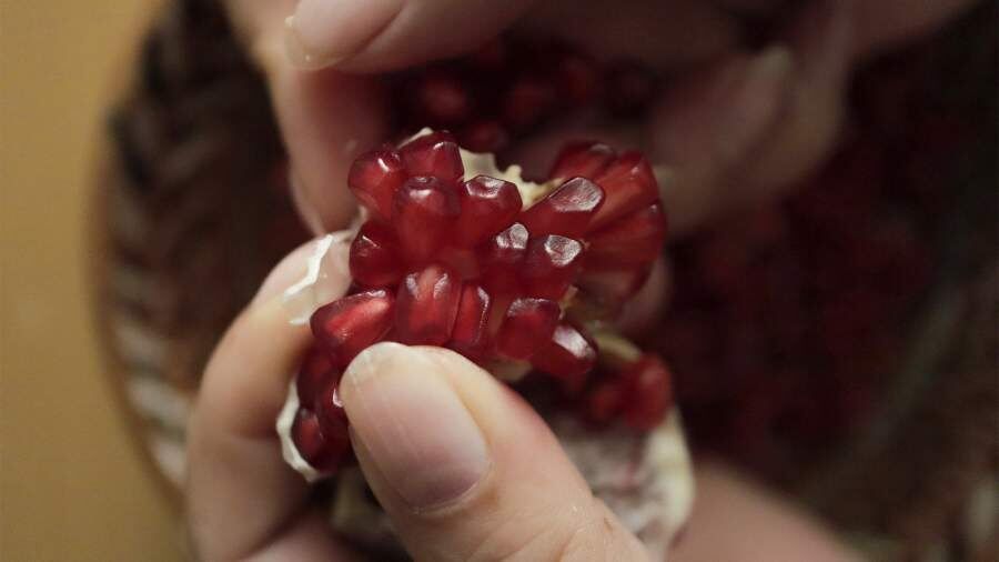 ��� ����������� ���������� ����� ����������� ������� ��� ����������� �����