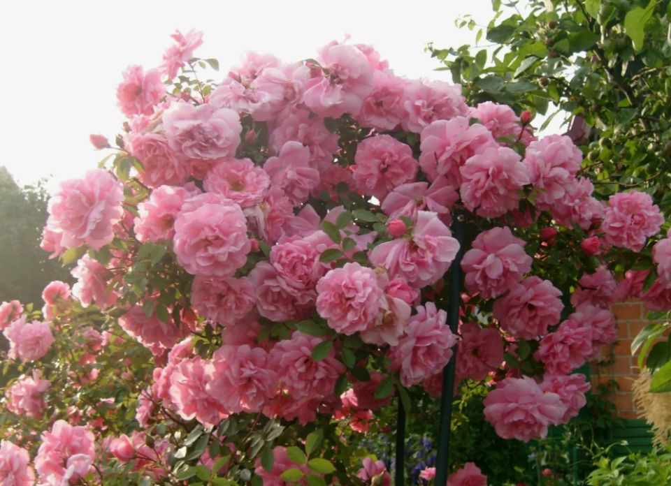 ������������� � ����������� ����: ����� 25 ������ ��� ������ ����