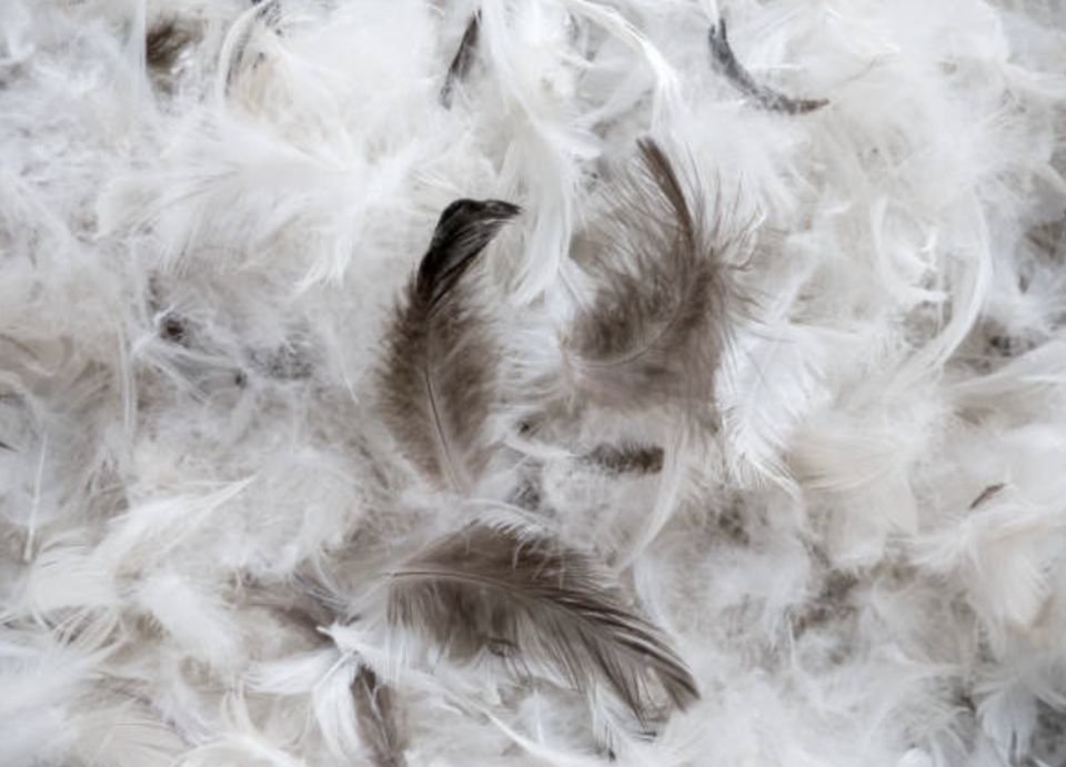 ����������� � ���: ��� ������������� �������� � ��������� ��� � ���������