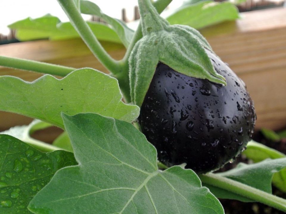 ������������ ���������� ������ ����� � �����������