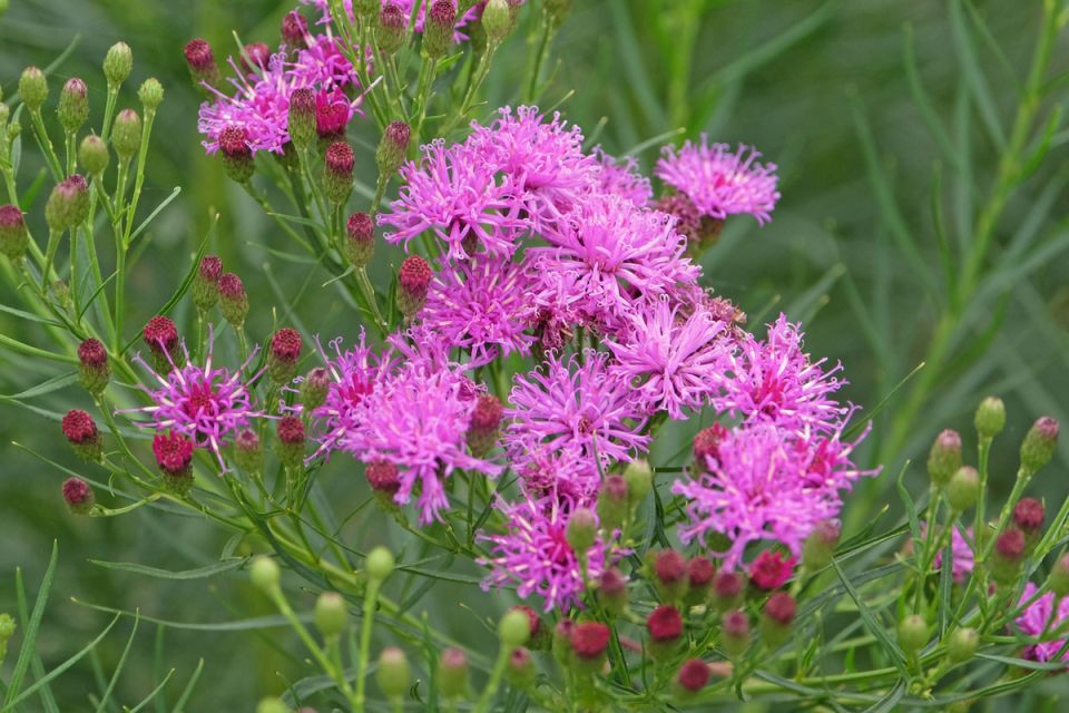 ��������: ������ ������������ ��� ������ ����