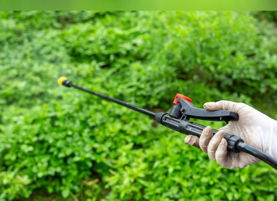 ��������� �� �������: ��� �������� ������� ��� ������ ��� ������� � ��������