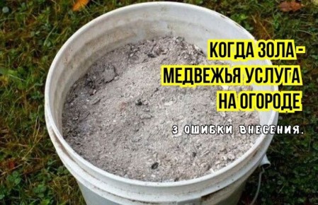 ������ ���� �� ������ �������� ��� ��������� �������: 3 ������� �������