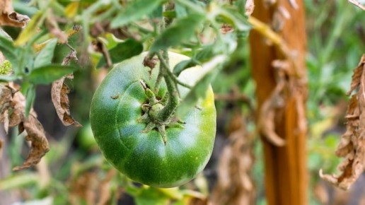 ����� ��������� ������� ������ � �������: ������������� ������ �� ����� �������