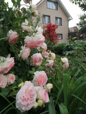 ����������� �� ������� ����: ��� ������� ��������� ��������� ����� � ��������