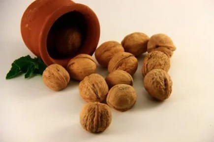 �������� ������� ������: ����������� �������� � ������������