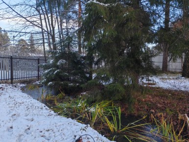 ��� ��������� ������ ��������� ����: ������� ���������