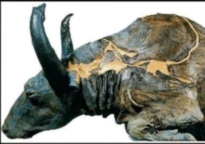 ������� ���������: ��� 50-������������ ����� ������ ������� �� ����������� �����