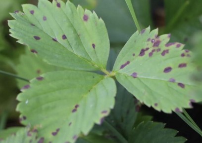 ��� ������ � ��������� ��������, ���� ��� �������� � ������������� ��������?